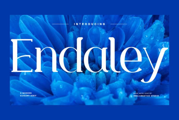 Endaley: A Modern Serif Typeface for Elegant Web Design